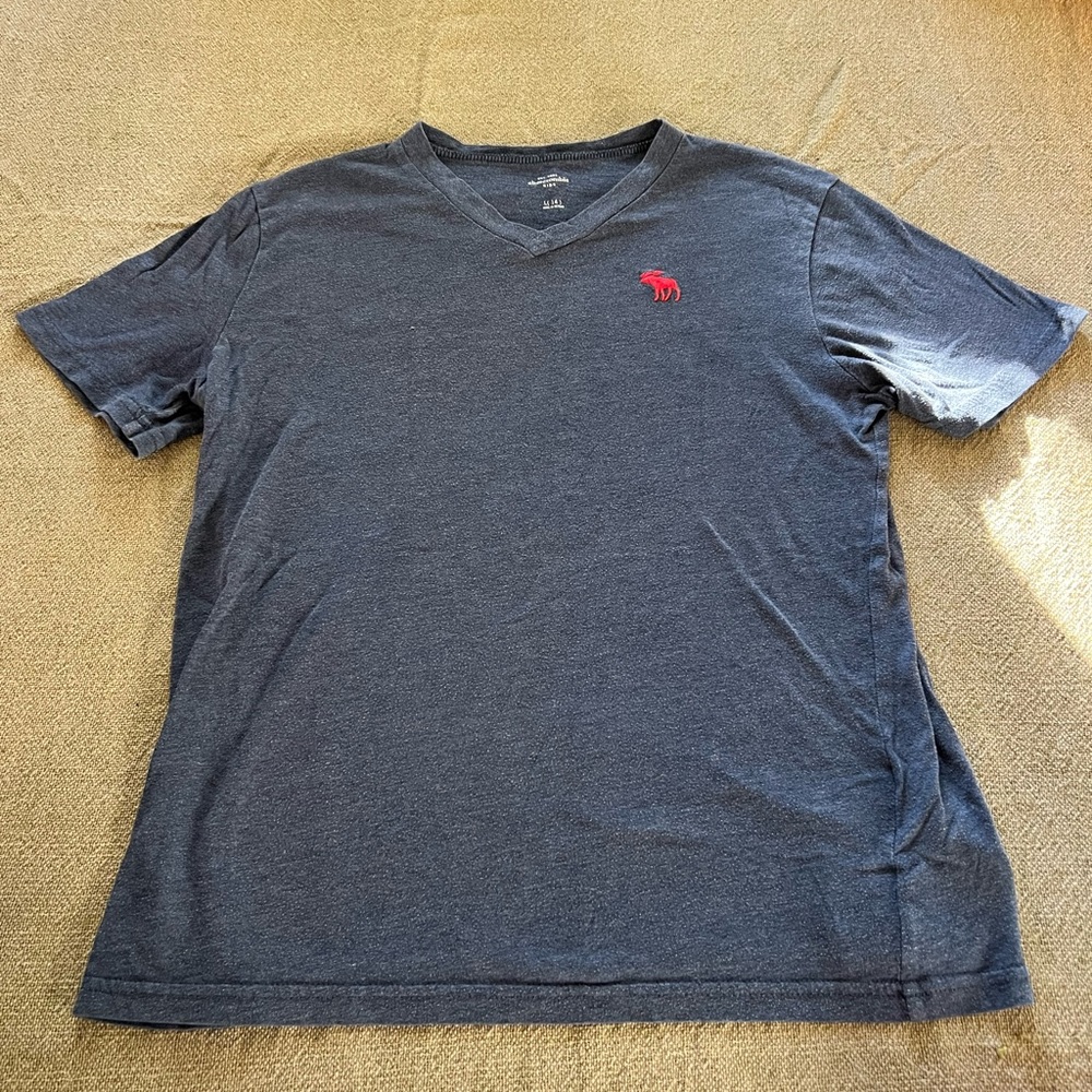 Abercrombie & Fitch Fitted Kids V-neck T-Shirt, Faded Blue Size L (14)Red Moose!